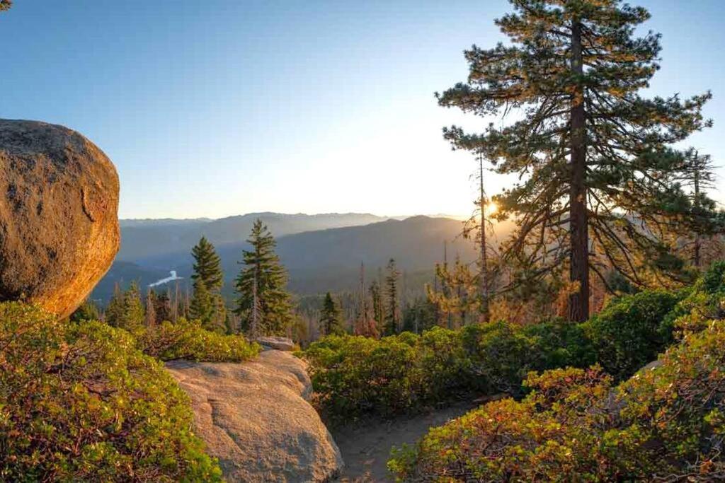 Sequoia Splendor, Inside Kings Canyon Np By Visitors Center Wilsonia 외부 사진