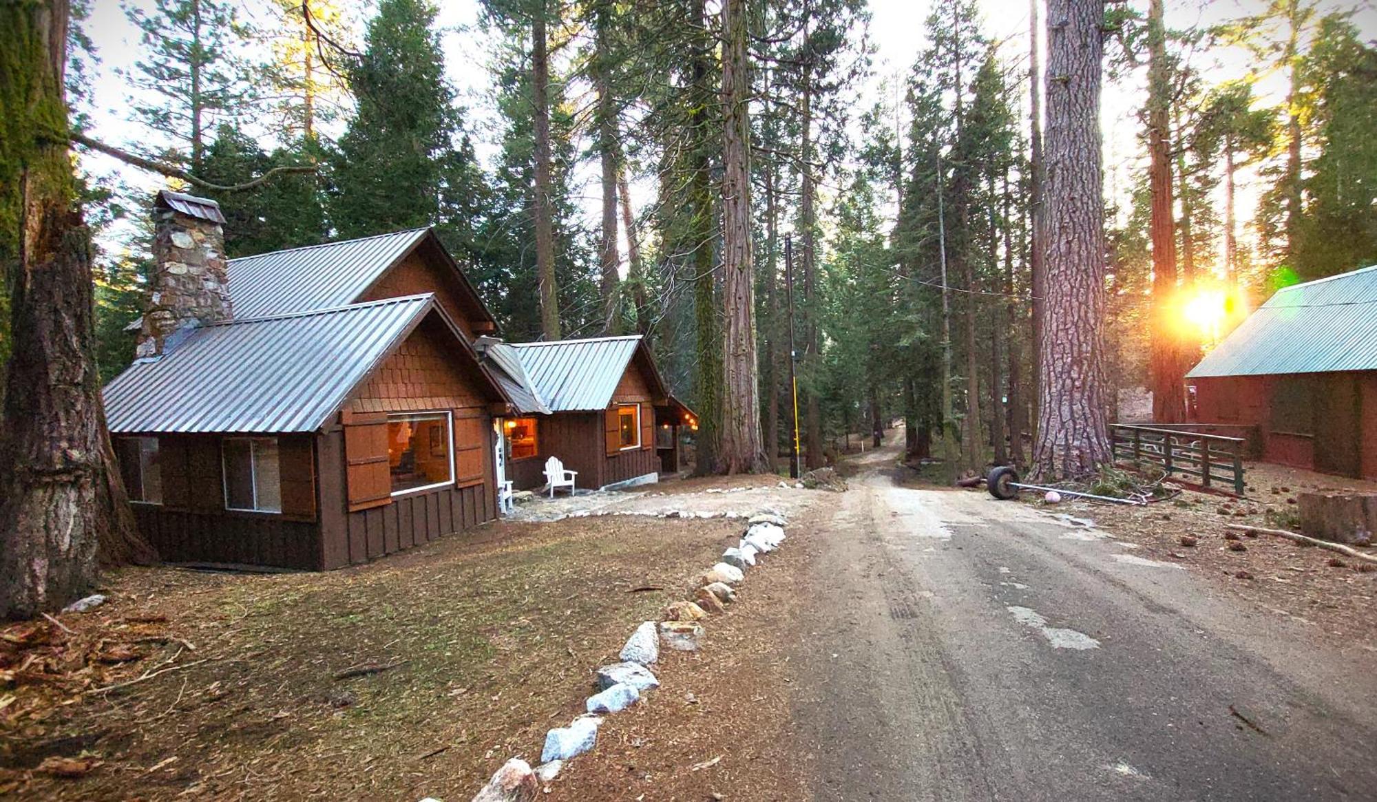 Sequoia Splendor, Inside Kings Canyon Np By Visitors Center Wilsonia 외부 사진
